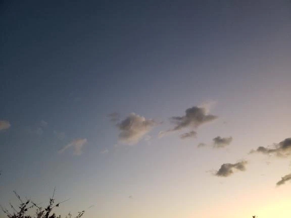 おはようございます。