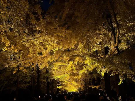 ごめんなさい🙇‍♂️💦/エリカ