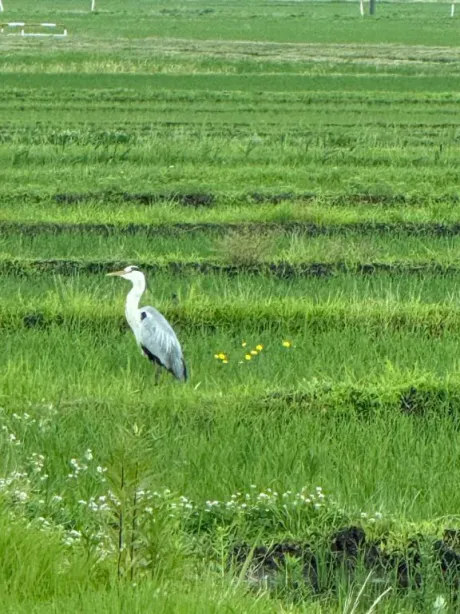 今日はおしまい😊