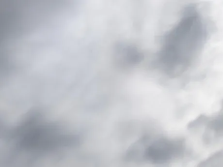 出勤しました/タエ