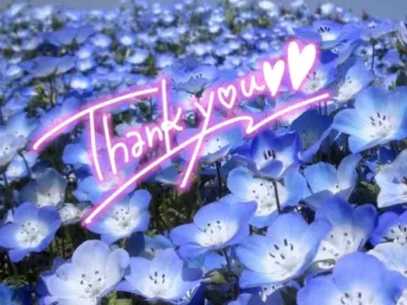 退勤⋆̩*☂︎*̣̩⋆̩/きさき