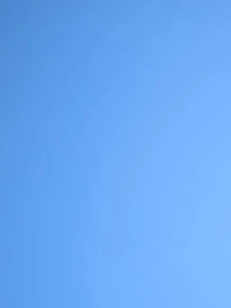 出勤しました/タエ