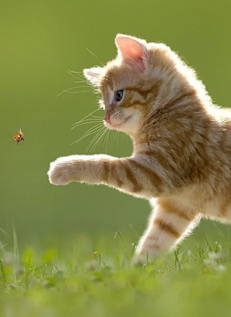 おはよう ( * ・ω・) ノ/なお