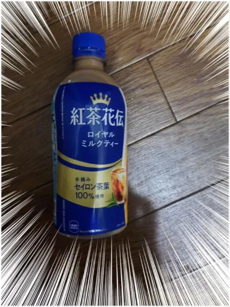 レミのブログ お礼です