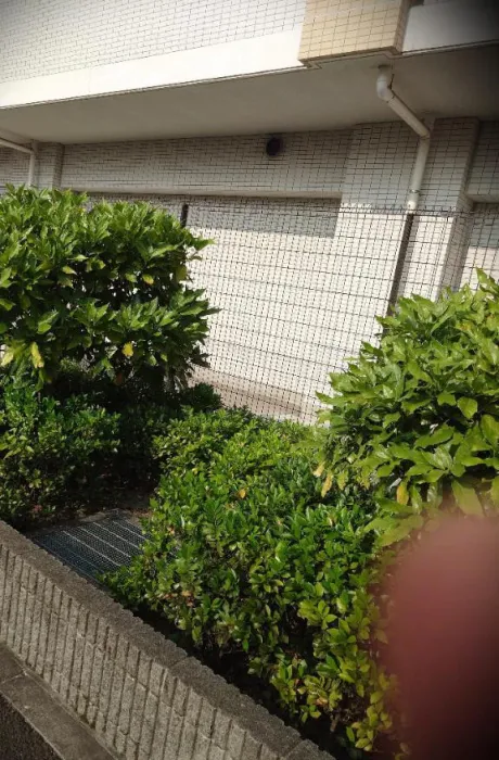 ★まみ★極上熟女店長激押し！隣の人妻お口で愛して