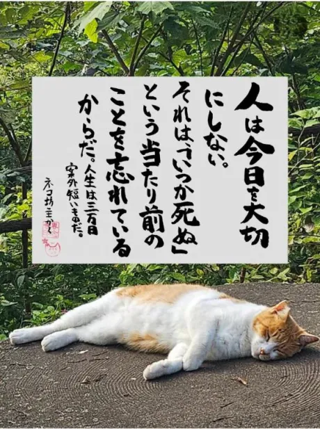 シオン人妻生レンタルーNTRー