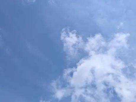 タエ人妻生レンタルーNTRー