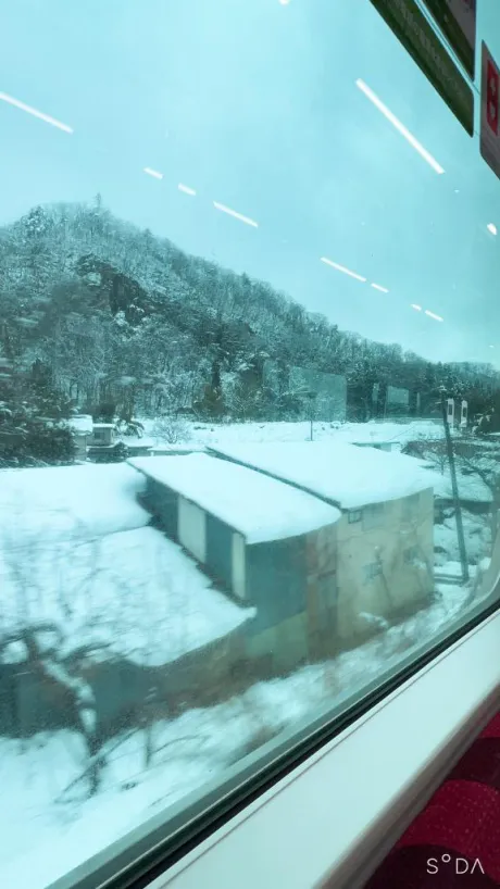 ひな奥様メモリアル