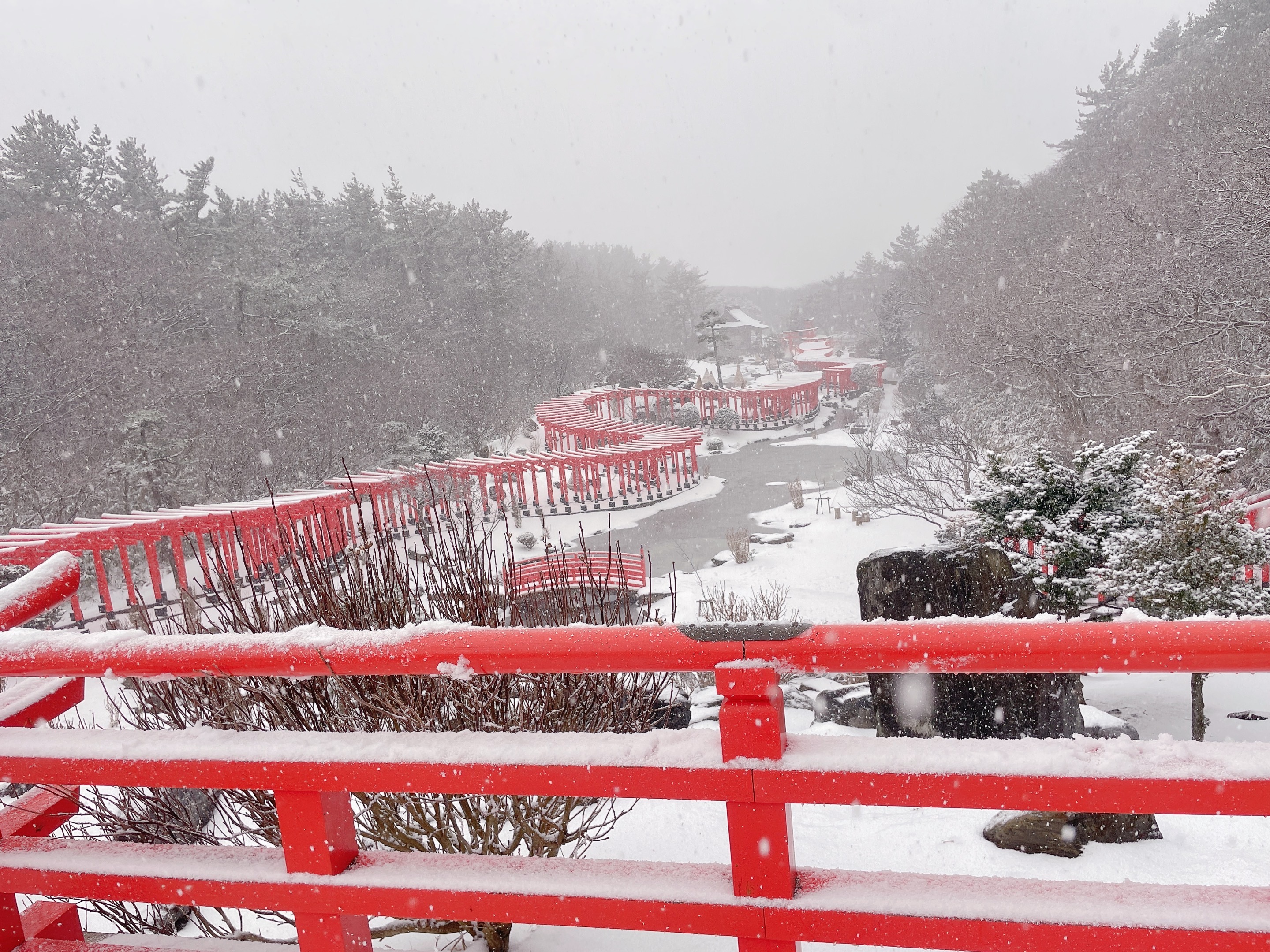 ご挨拶が遅れました🙇‍♂️