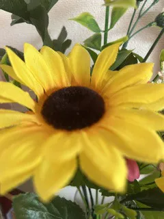 どうなるのかな…/くるみ 奥様