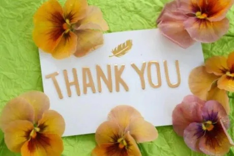 ことみ奥様鉄道69　仙台店