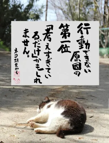 シオン人妻生レンタルーNTRー