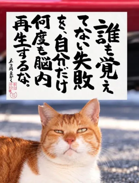 シオン人妻生レンタルーNTRー