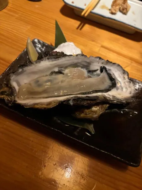 ここあのブログ 17時～