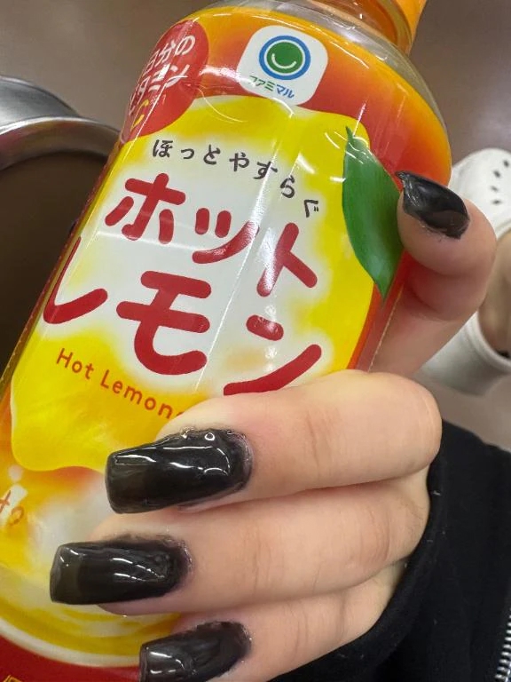 申し訳ない
