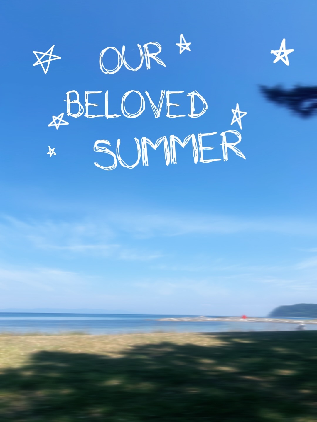 いいお天気☀️