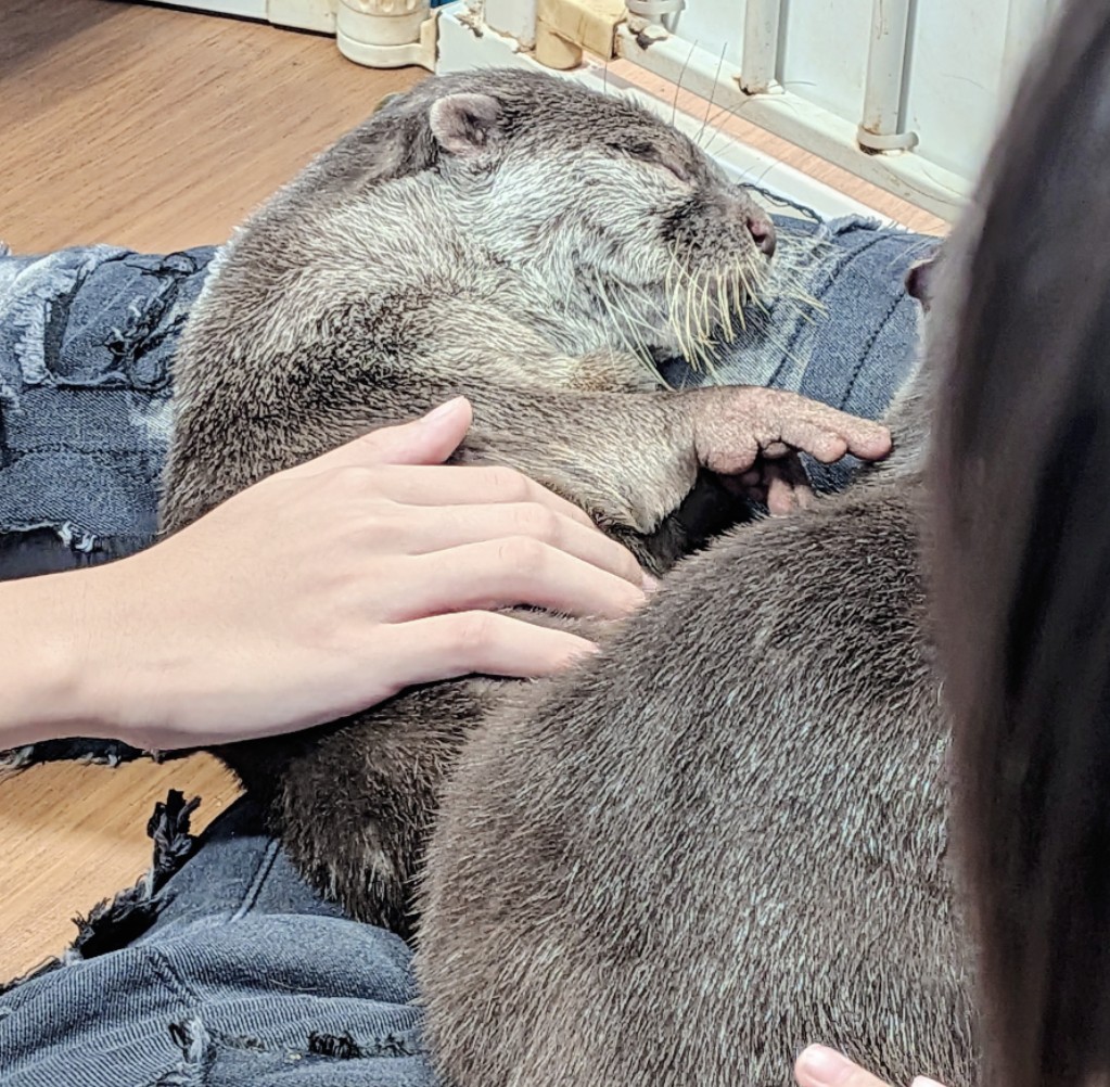 今日の‎宣伝📢✨と土日のお礼💌✨