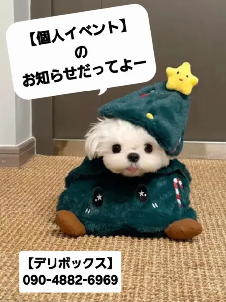 めい (魅惑のEカップ、パイパン嬢)デリボックス