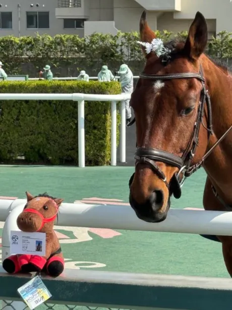 あむ☆弘前のブログ 夏競馬こそ至高
