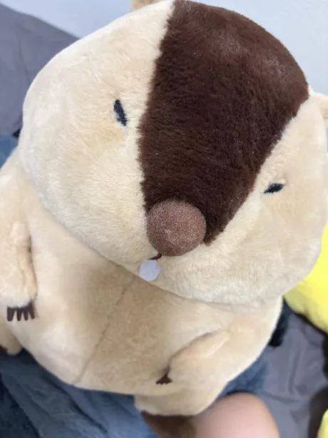 しおり素敵な女の子は好きですか?