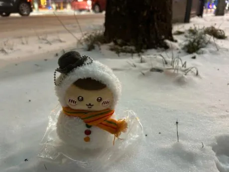 カンナ人妻生レンタルーNTRー