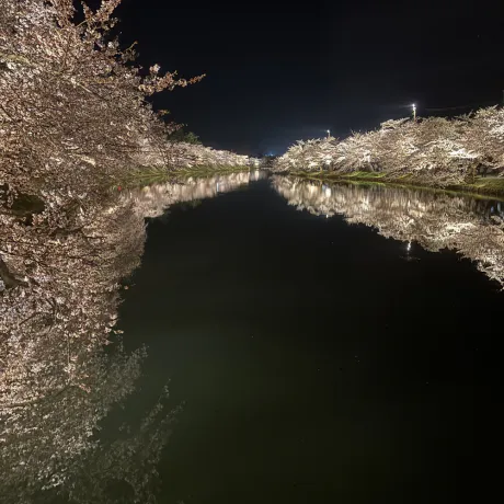 今週のシフト :.*  でたー \( 　 -᷄ ᴗ -᷅  )/ ー *./Yuuriユウリ [弘前]