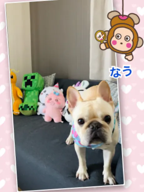 助成金、全ツッパ/よしえ 奥様