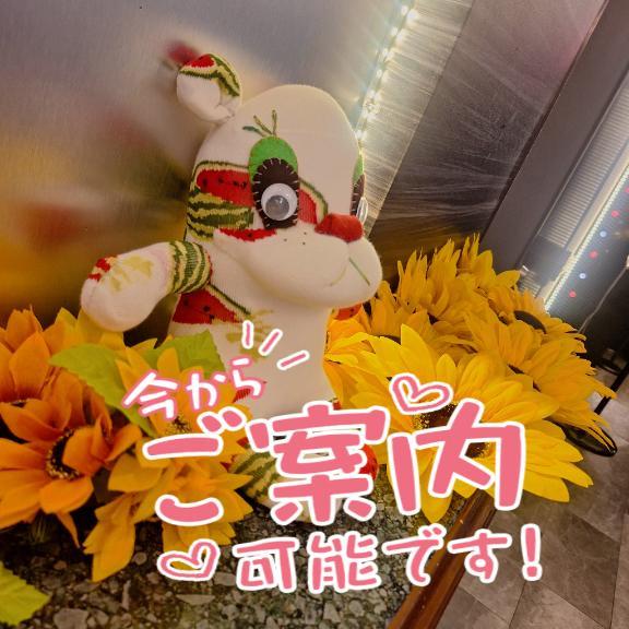 ✨✨出勤✨✨