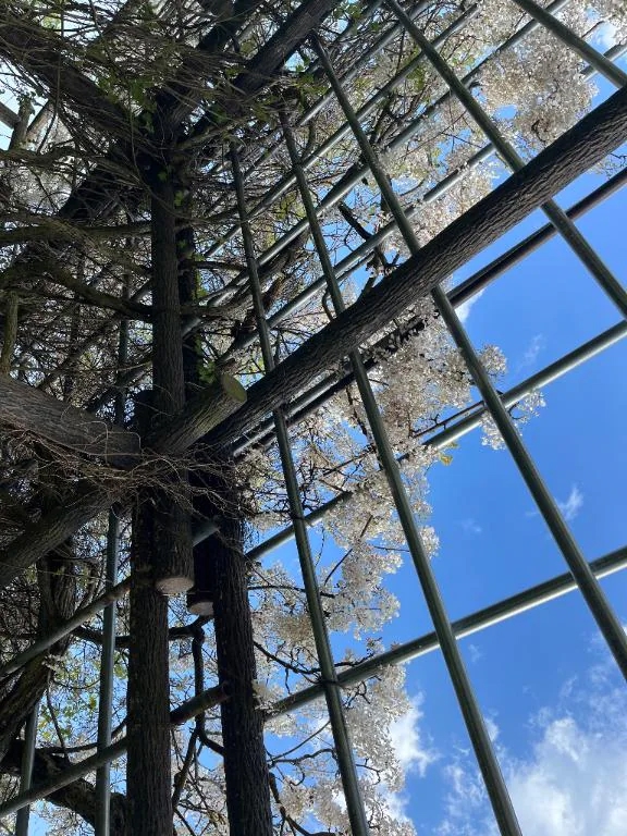 ~イベントのお知らせ~