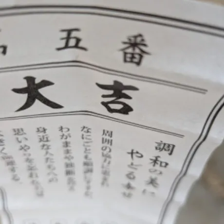 初詣？^ _ ^/えみり 奥様