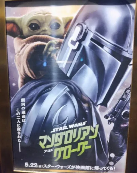観たよ　勝ったよ