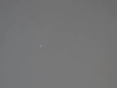 出勤しました/タエ