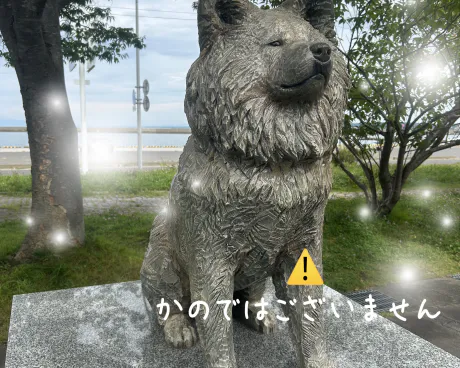 ありがとう☺️