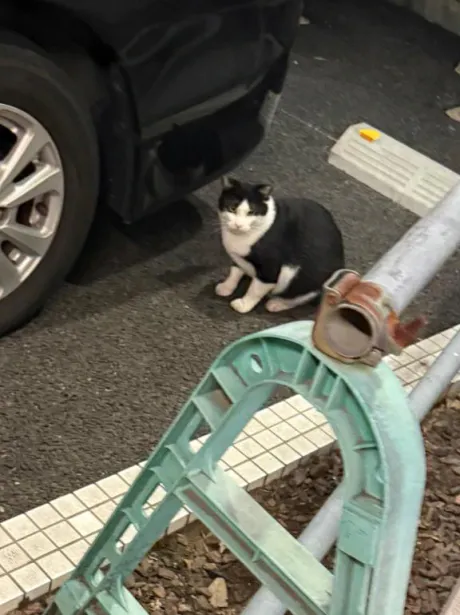10/18 23:51エム