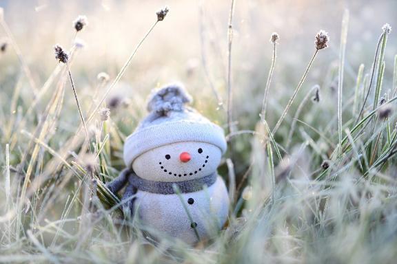 カンカンの月曜日☃