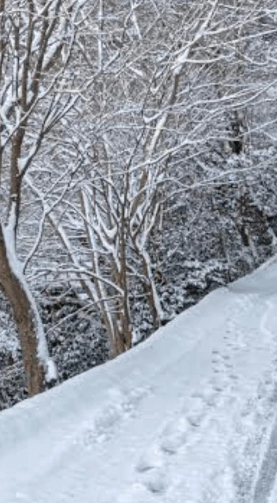★まみ★極上熟女店長激押し！隣の人妻お口で愛して
