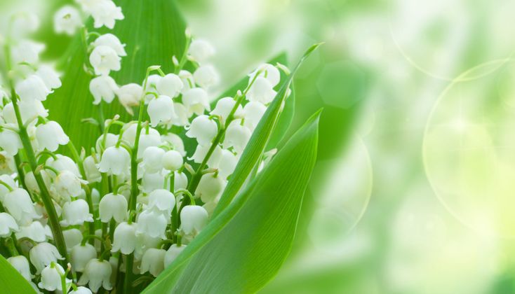 おはようございます/ゆりか