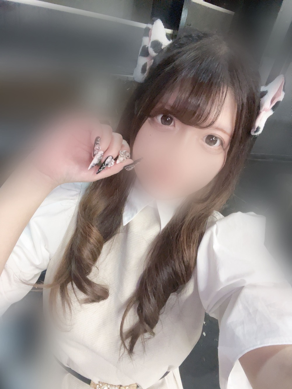わんにゃん 