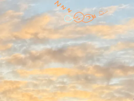 ももこです(^з^)早くも金曜日/ももこ
