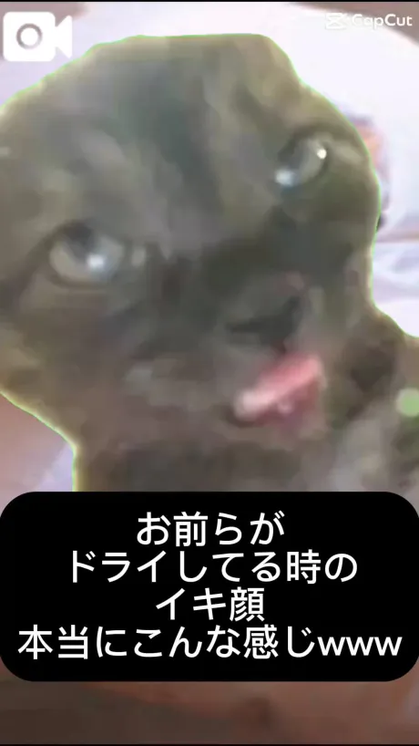 りいな(女王様)人妻生レンタルーNTRー