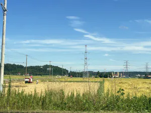 09/20 15:43きょうか 奥様