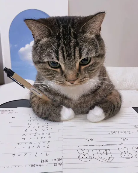 お気に入り増えてた (*^^*)/なお