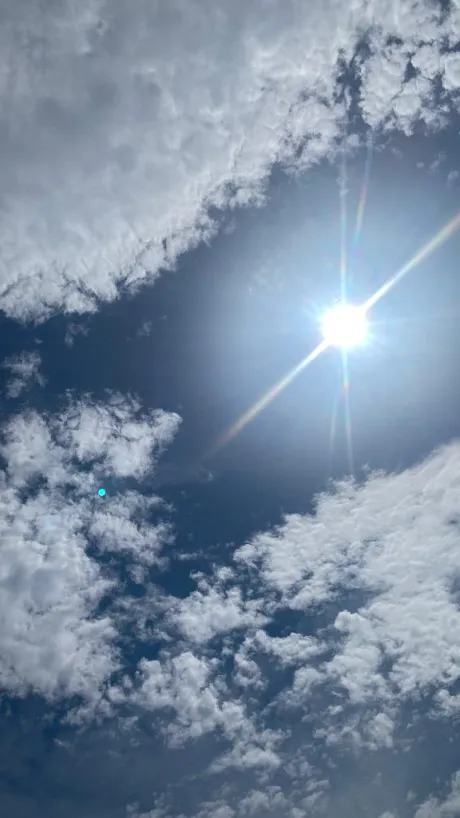 リノアのブログ こんにちは🌞