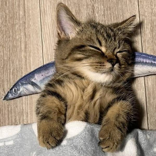お疲れさま～ (*^^*)