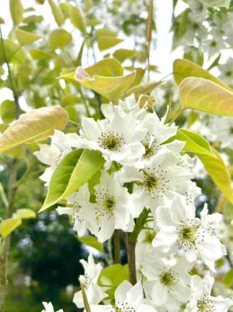 みなみ奥様メモリアル