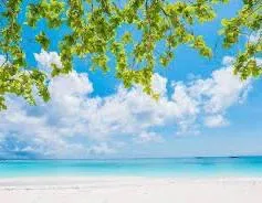 ゆりえのブログ 土曜日☀️