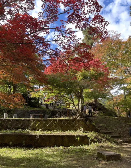 もう秋ですね 🍁🍂/いろは[業界初/青森]プレミア