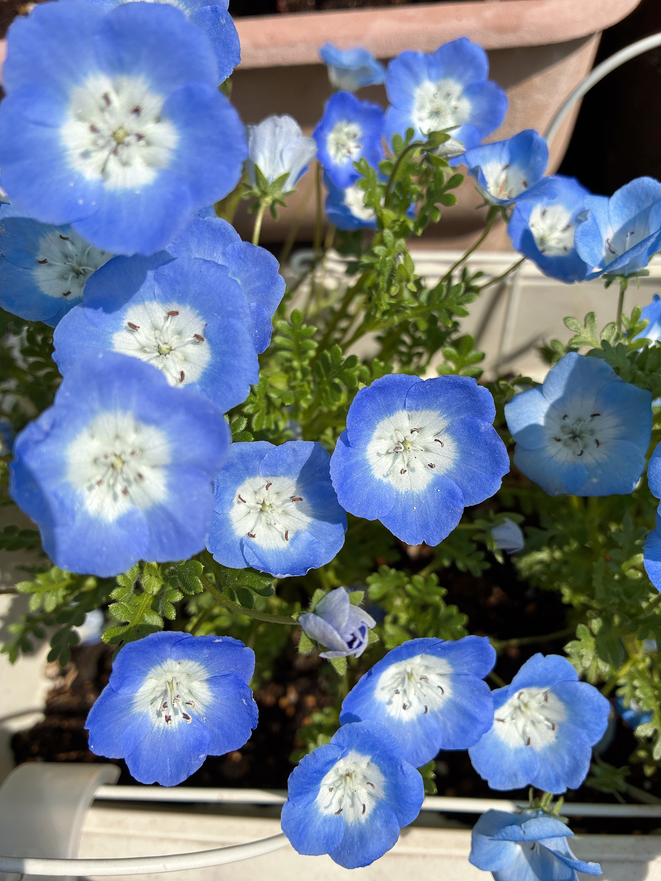 雨ですね☔️/小田　あかり