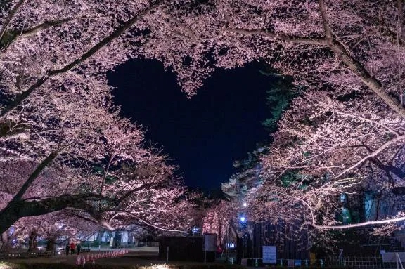 ナナ(極)のブログ 今でしたら