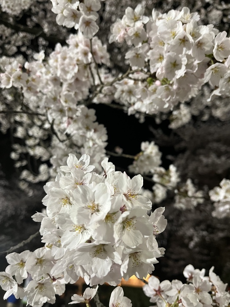 ありがとうございました 😊